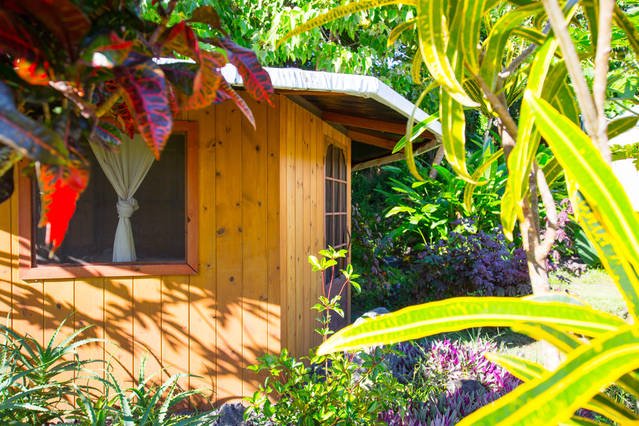Lilikoi cabin surrounded by tropical plants at KMEC